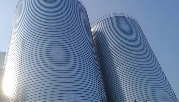 鸠江2座混凝土高架卷板仓